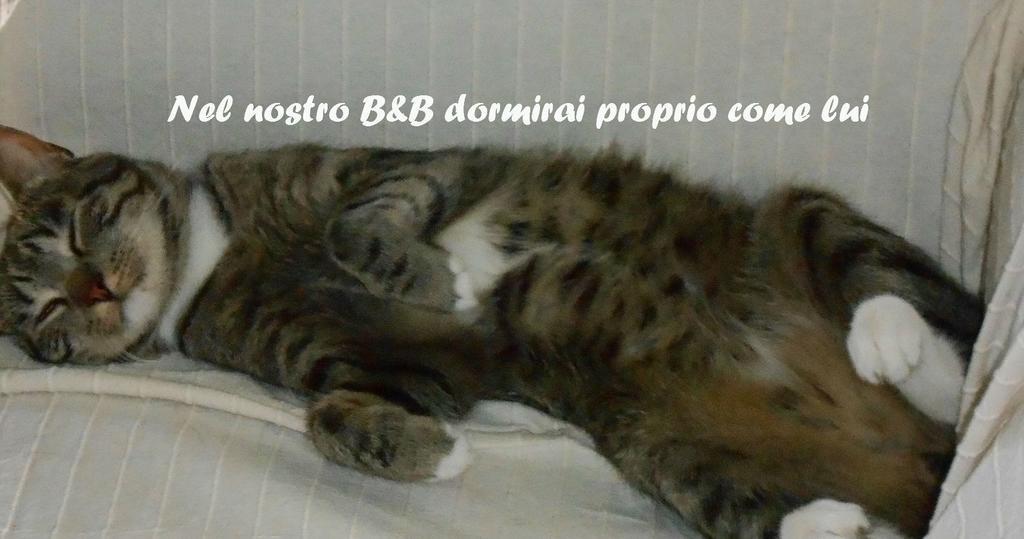 I Tetti Di Sassari B&B Luaran gambar