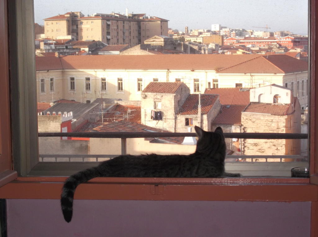I Tetti Di Sassari B&B Luaran gambar